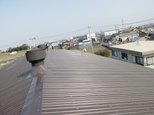 DSCF0447