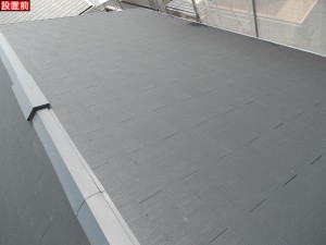 DSCN1088