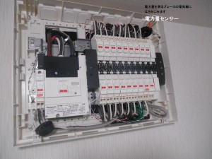 DSCN1446