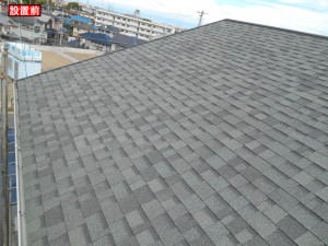 DSCN1555
