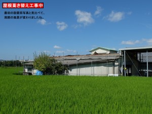 DSCF0734