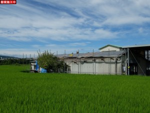 DSCF0736