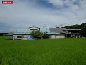 DSCF0741