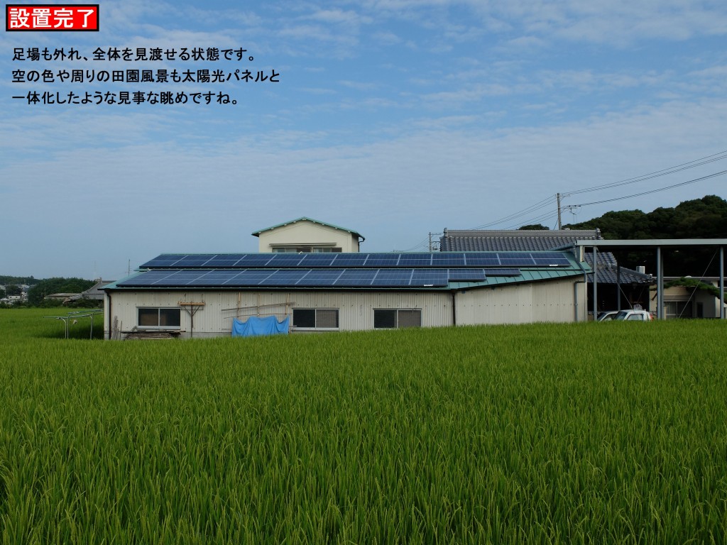 DSCF0748