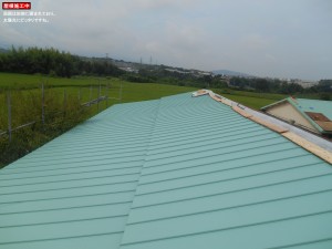 DSCN1593