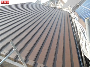 DSCN1652