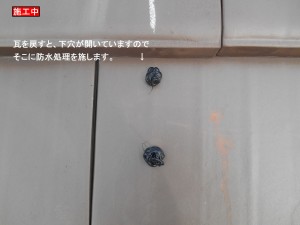DSCN1655