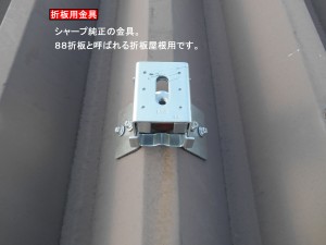 DSCN1702