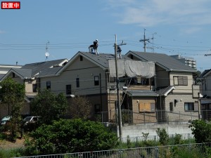 DSCF0784