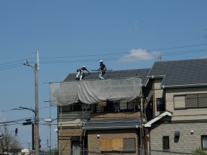 DSCF0785