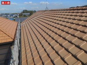DSCN1757
