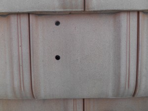 DSCN1770
