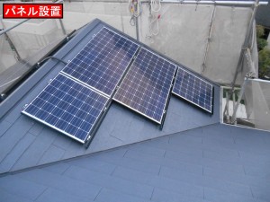 DSCN2044