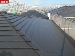 DSCN2184