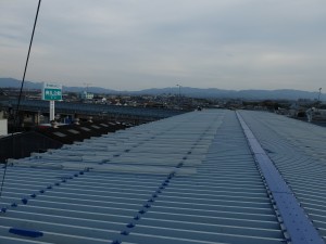 DSCF0974