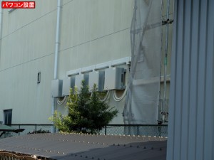 DSCF0985