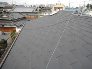 DSCF1541