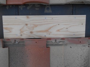 DSCN2946