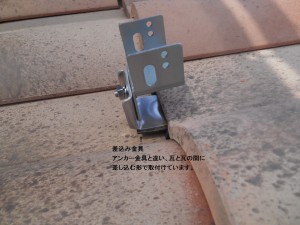 DSCN2950