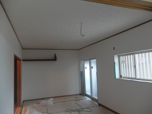 DSCF1100