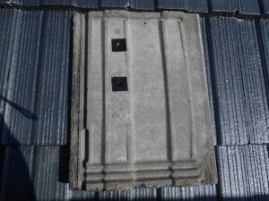 DSCN3003