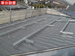 DSCN3007