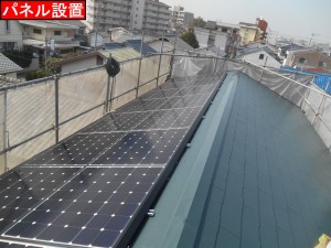 DSCN3151