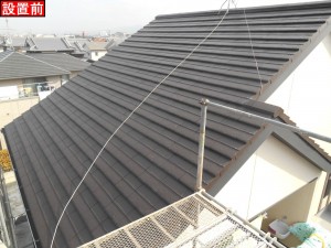 DSCN3259