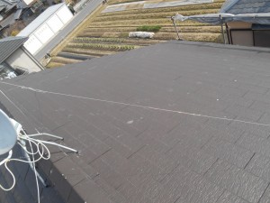 DSCN3261