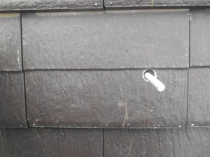 DSCN3266