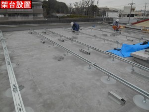 DSCN3291