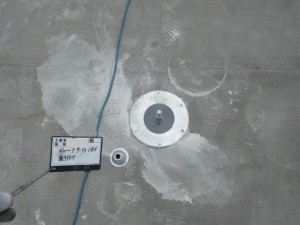 IMGP2126