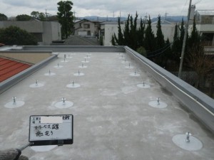 IMGP2133