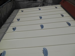 DSCN3485