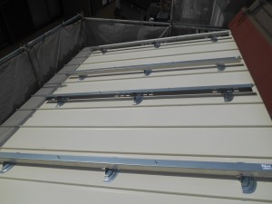 DSCN3486