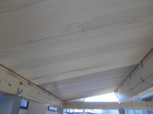 DSCN3538