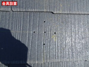 DSCN4515