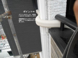DSCN4558