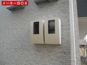 DSCN4562