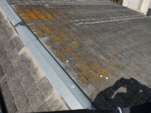 DSCF1175