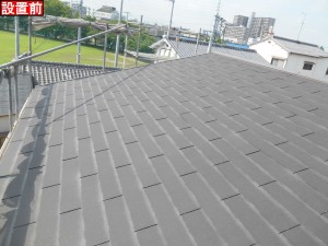 DSCN6750