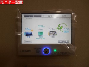 DSCN6790