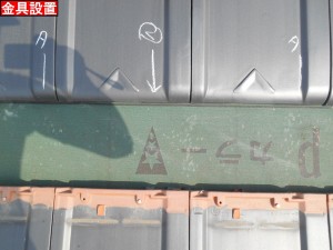 DSCN8584