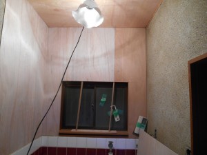DSCN3524