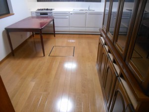 DSCN3531
