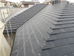 DSCN9839