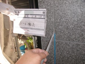 GE