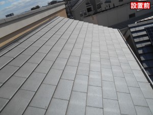 DSCN1285