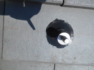 DSCN1294