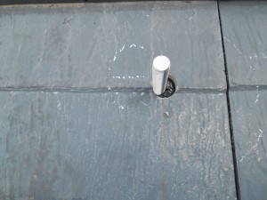 DSCN1933